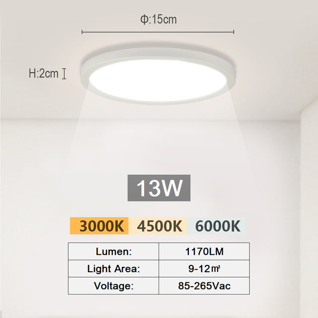 Modern LED Ceiling Lights Aisle Three Colors Minimalist Living Room